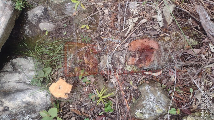 O atributo alt desta imagem está vazio. O nome do arquivo é amb4.jpg